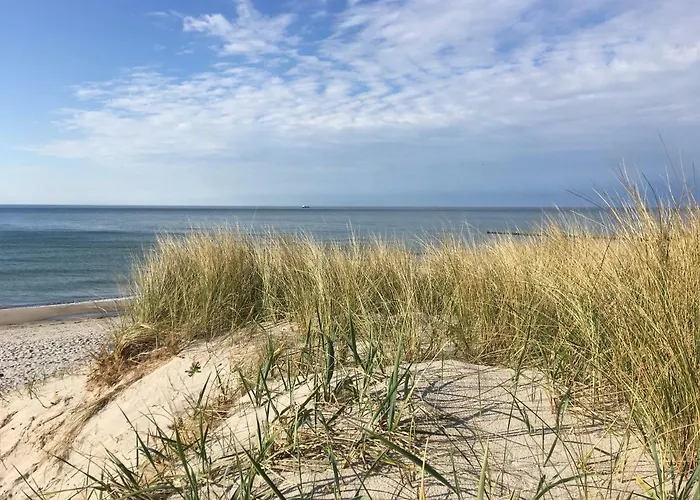 Gaenseweg Graal-Mueritz